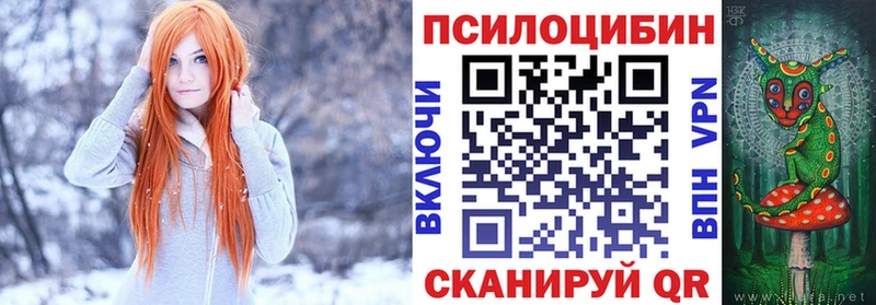 дарнет шоп Усть-Илимск Псилоцибиновые грибы Cubensis