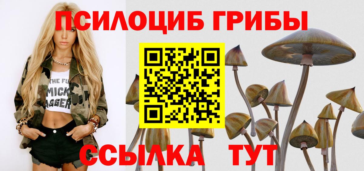 Галлюциногенные грибы Psilocybine cubensis Усть-Илимск