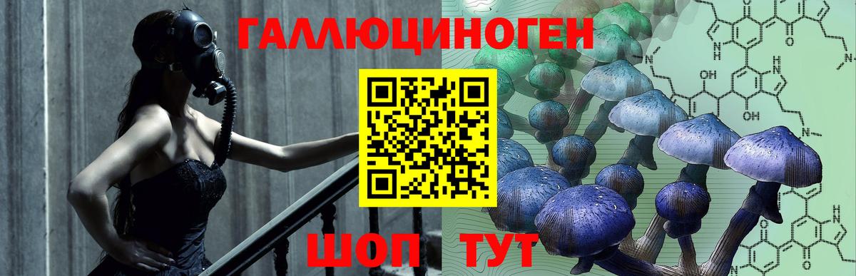 Псилоцибиновые грибы ЛСД  Псилоцибиновые грибы ЛСД  Вход с VPN  Усть-Илимск 